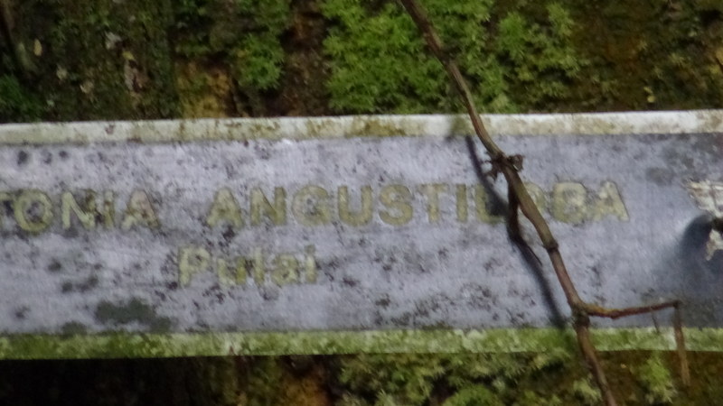 0982 DSC00157